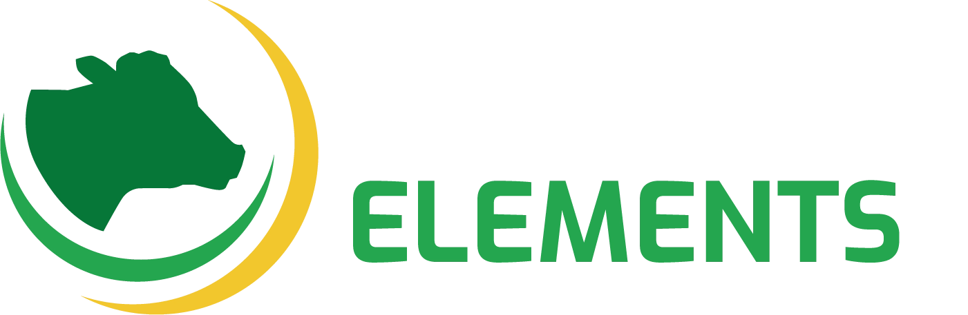 Elements System Logo